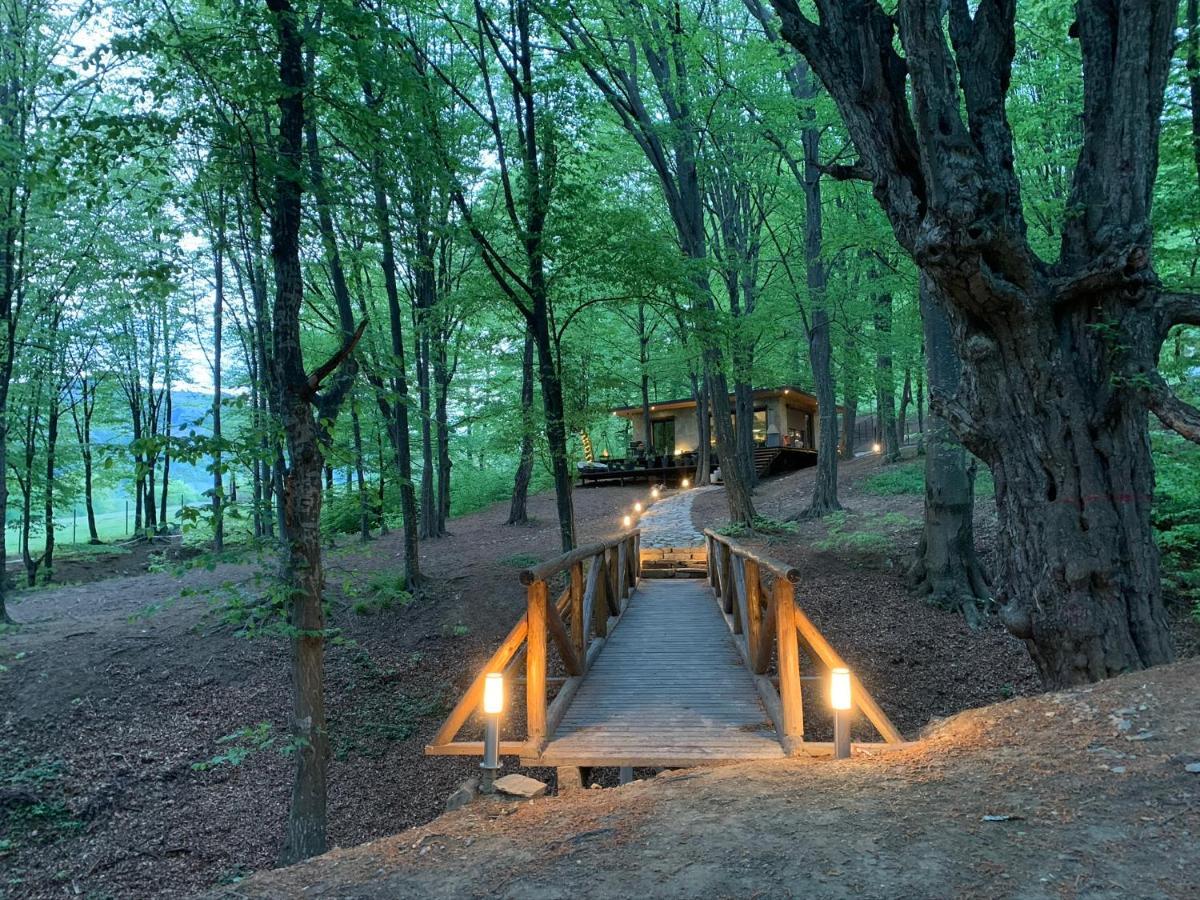 Willa Luxury Lake House & Glamping Teşila Zewnętrze zdjęcie