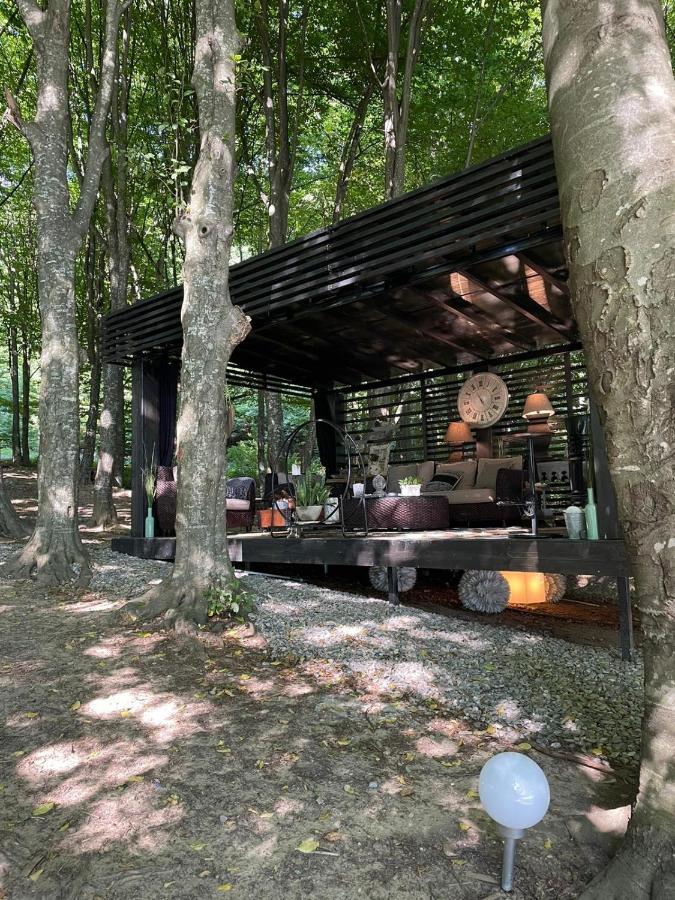 Willa Luxury Lake House & Glamping Teşila Zewnętrze zdjęcie